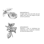 Grapefruit + Spearmint - Reed Diffuser